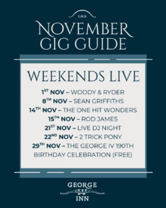 NOVEMBER GIG GUIDE